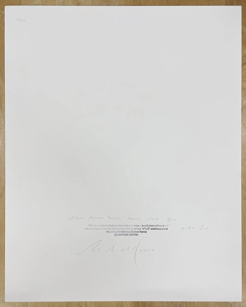 5_14081_Kenna_Spring Poplar Trees.jpg