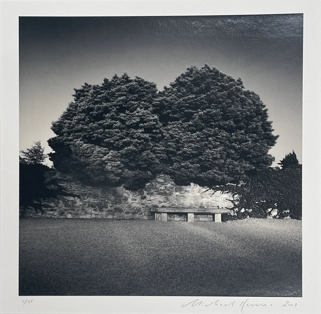 2_Kenna_Bench and Trees_Close Up.jpg