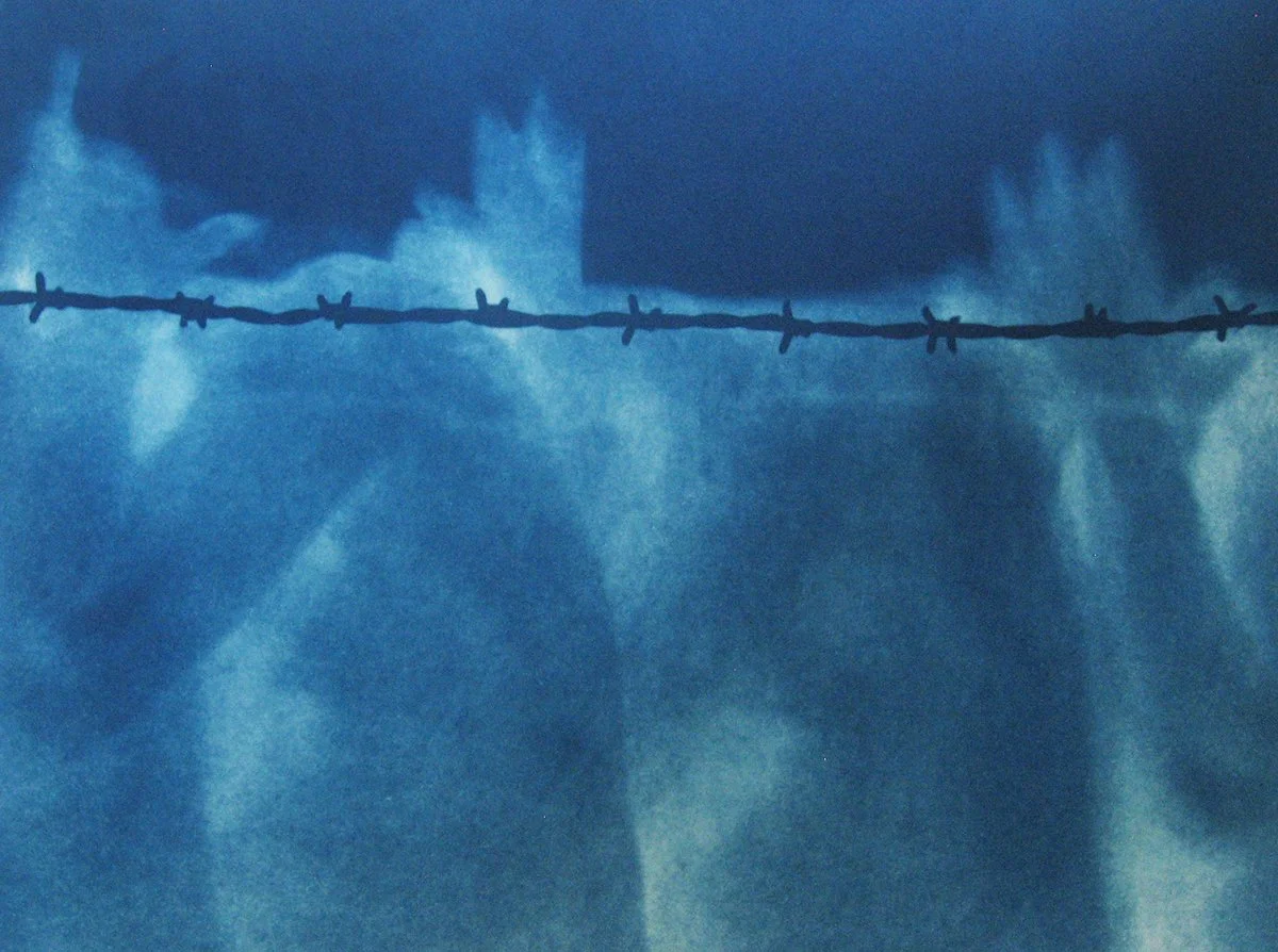 2_Van Leeuwen_ Barbed Wire No 2_3179_LR.jpg