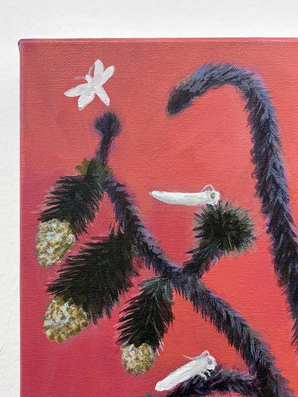 8_14423_Pawlowicz_Joshua Tree Flowers and Yucca Moths.jpg