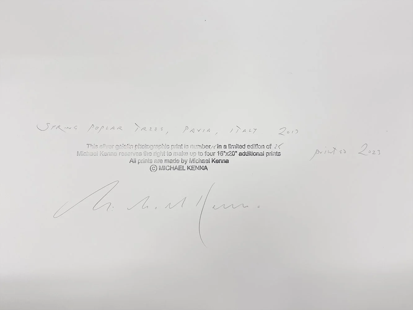 6_14081_Kenna_Spring Poplar Trees.jpg