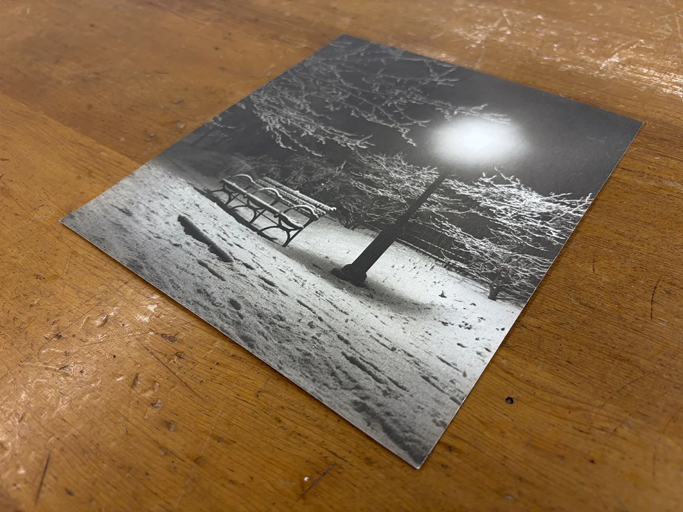 8_John_Albok_8046_Central Park (Bench in Snow).jpg