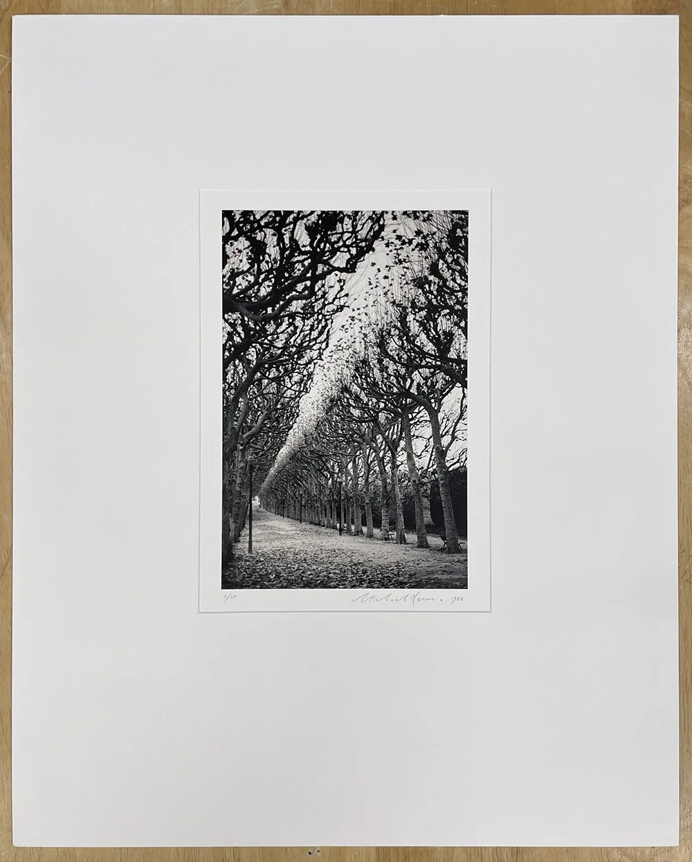 1_11995_Kenna_Jardin Des Plantes.jpg
