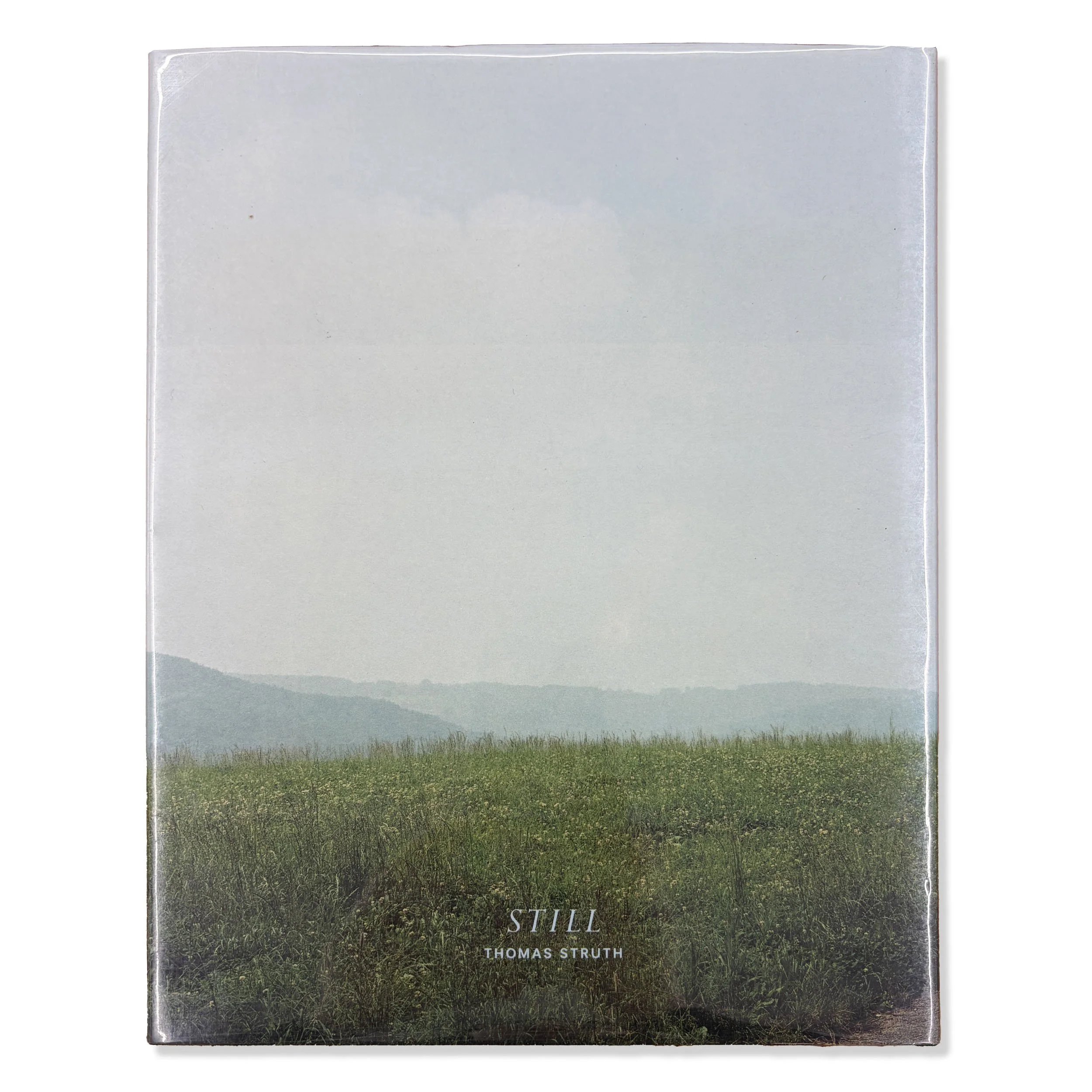 2_Thomas Struth_Still_Back.jpg