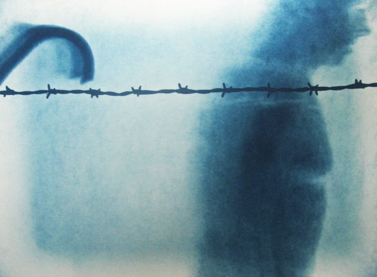 3_Van Leeuwen_Barbed Wire No. 3_LR.jpg