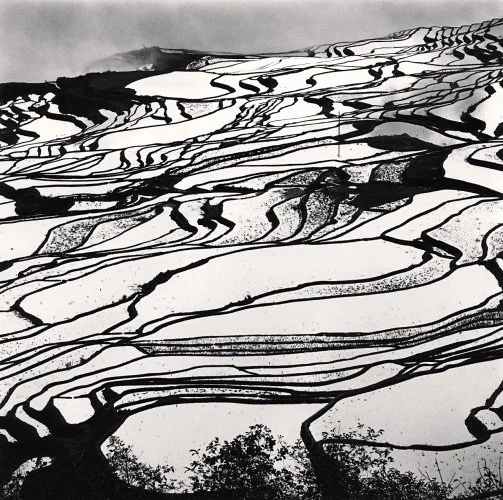 11740_MichaelKenna_LowRes.jpg