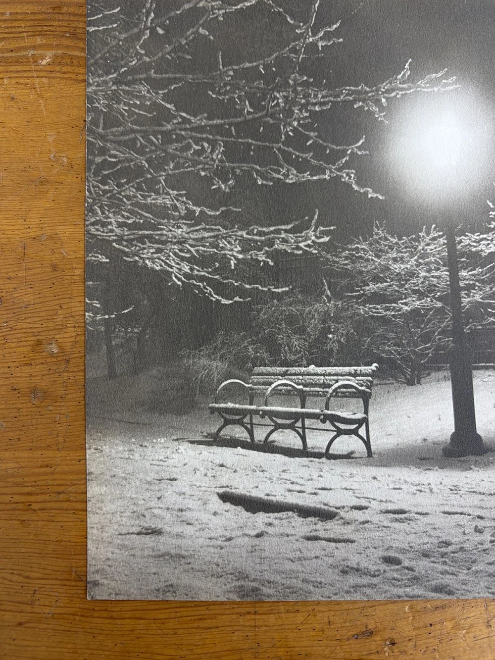 6_John_Albok_8046_Central Park (Bench in Snow).jpg