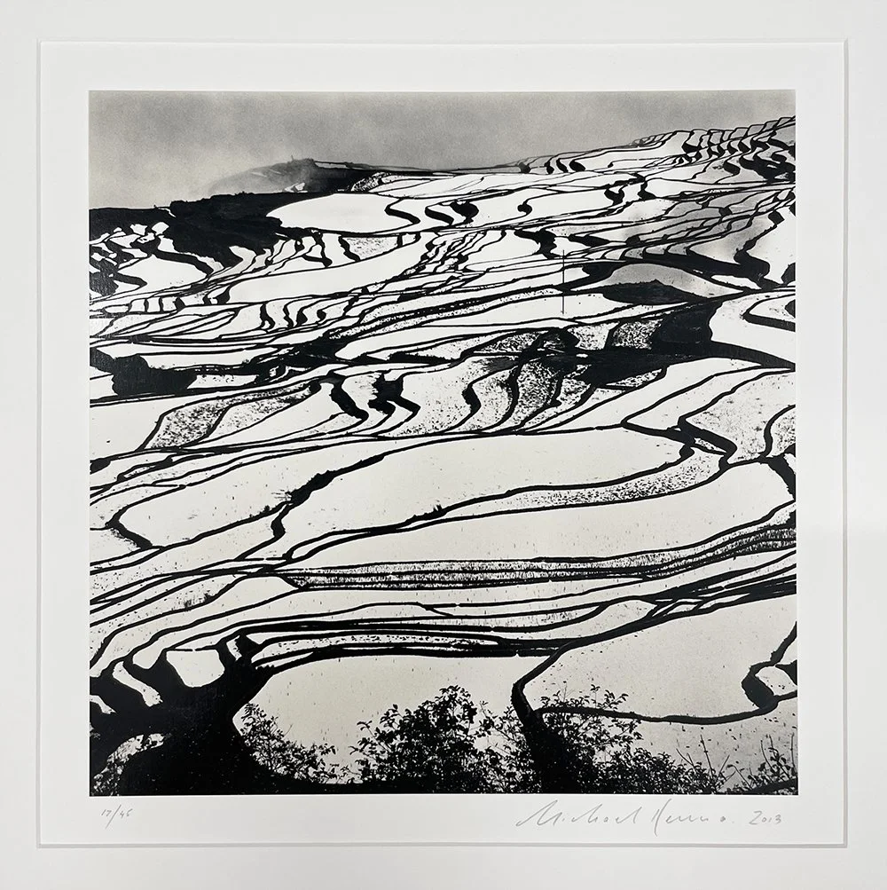 2_11740_Kenna_Yuanyang Study 2.jpg
