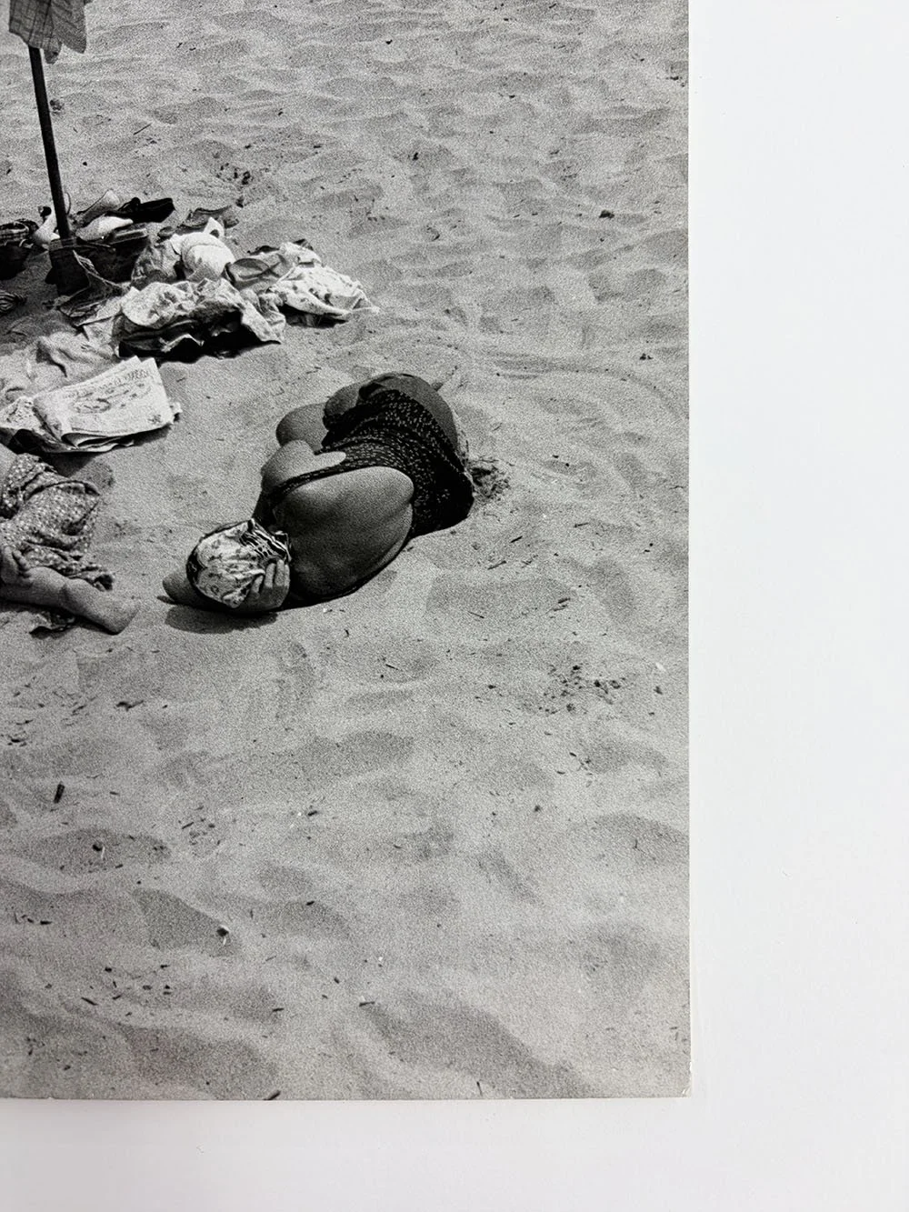 5_John_Albok_7944_Bathing Beauties.jpg