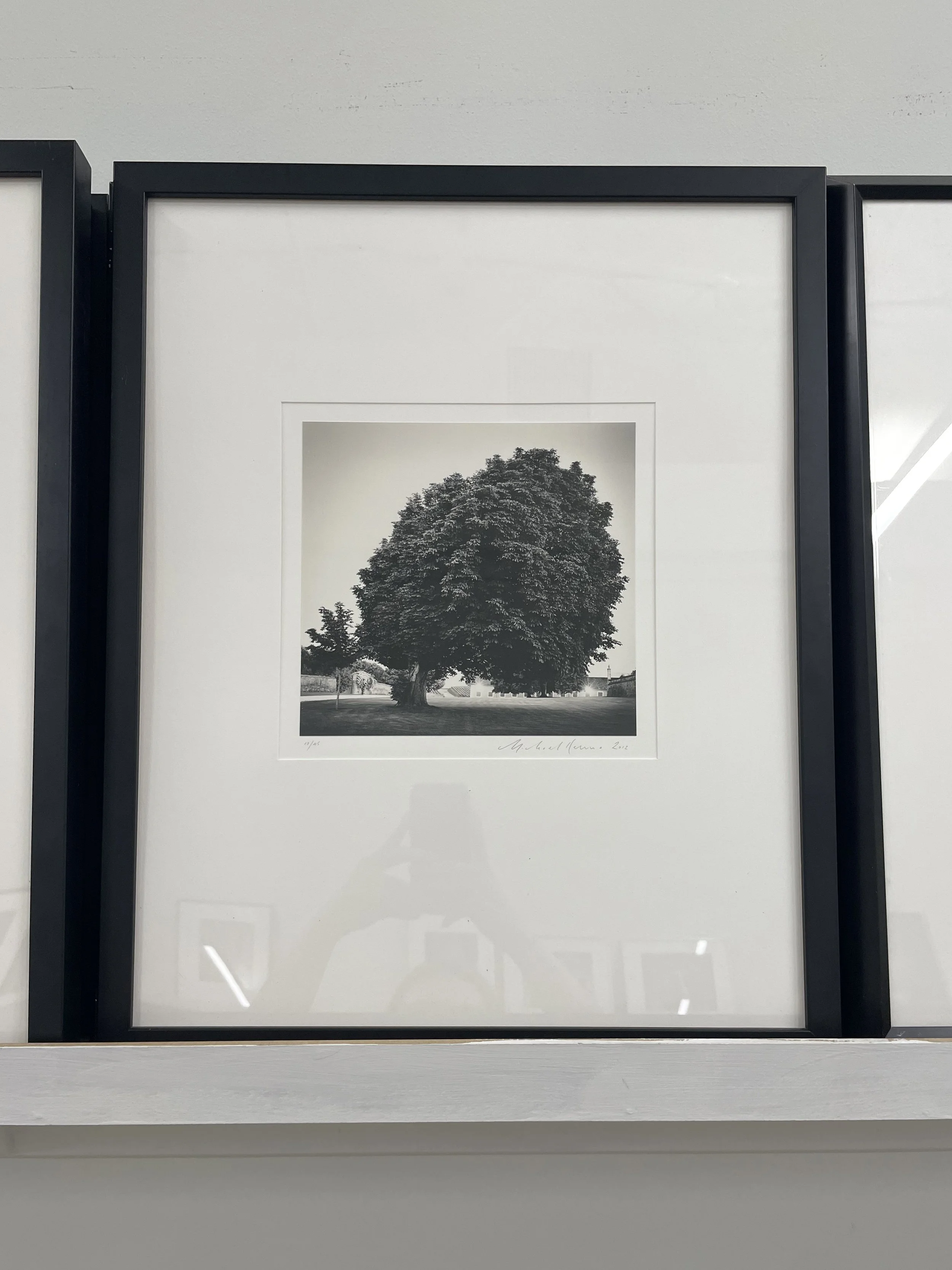 7_14083_Kenna_Chateau Lafite.jpg