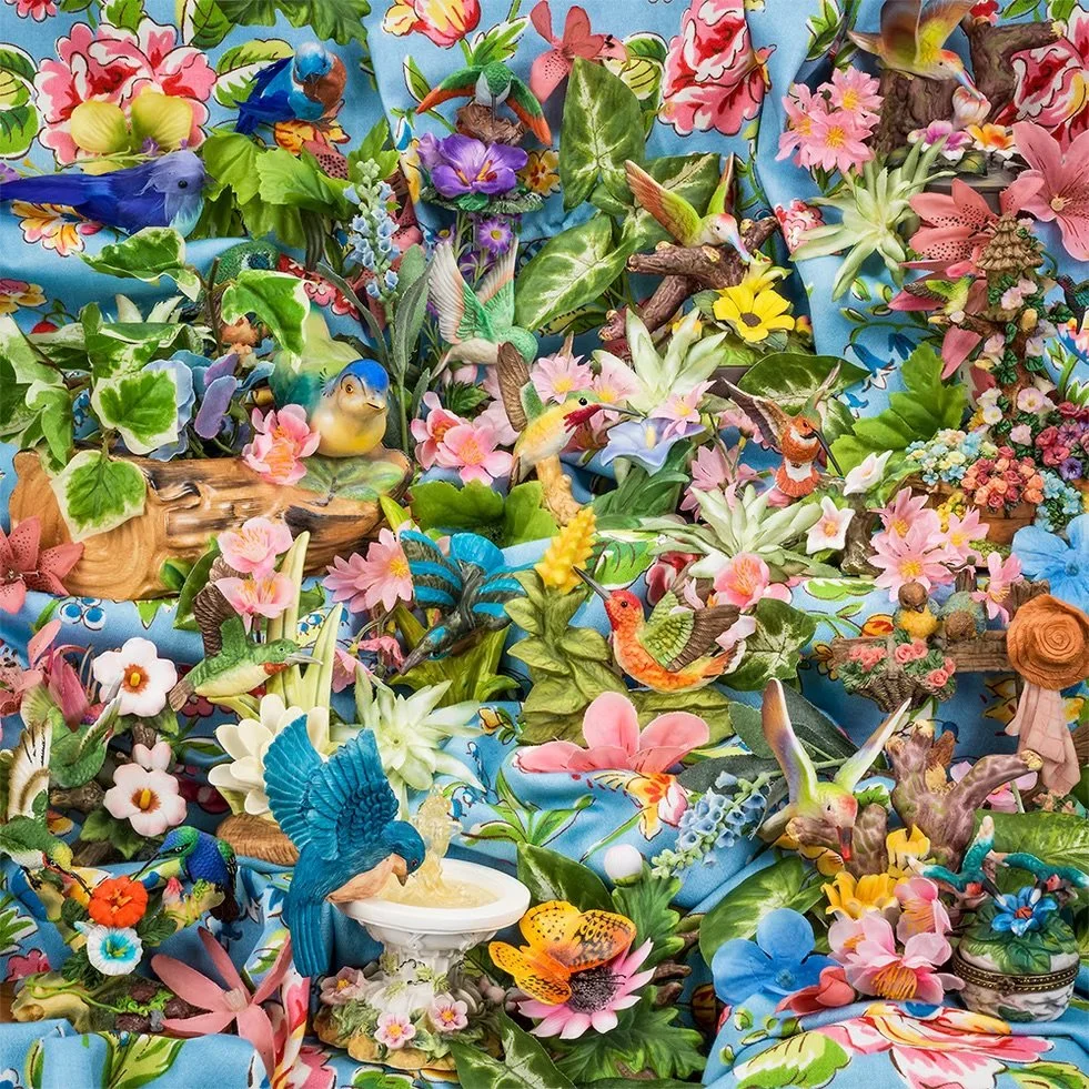 Doris's Hummingbirds, 2016