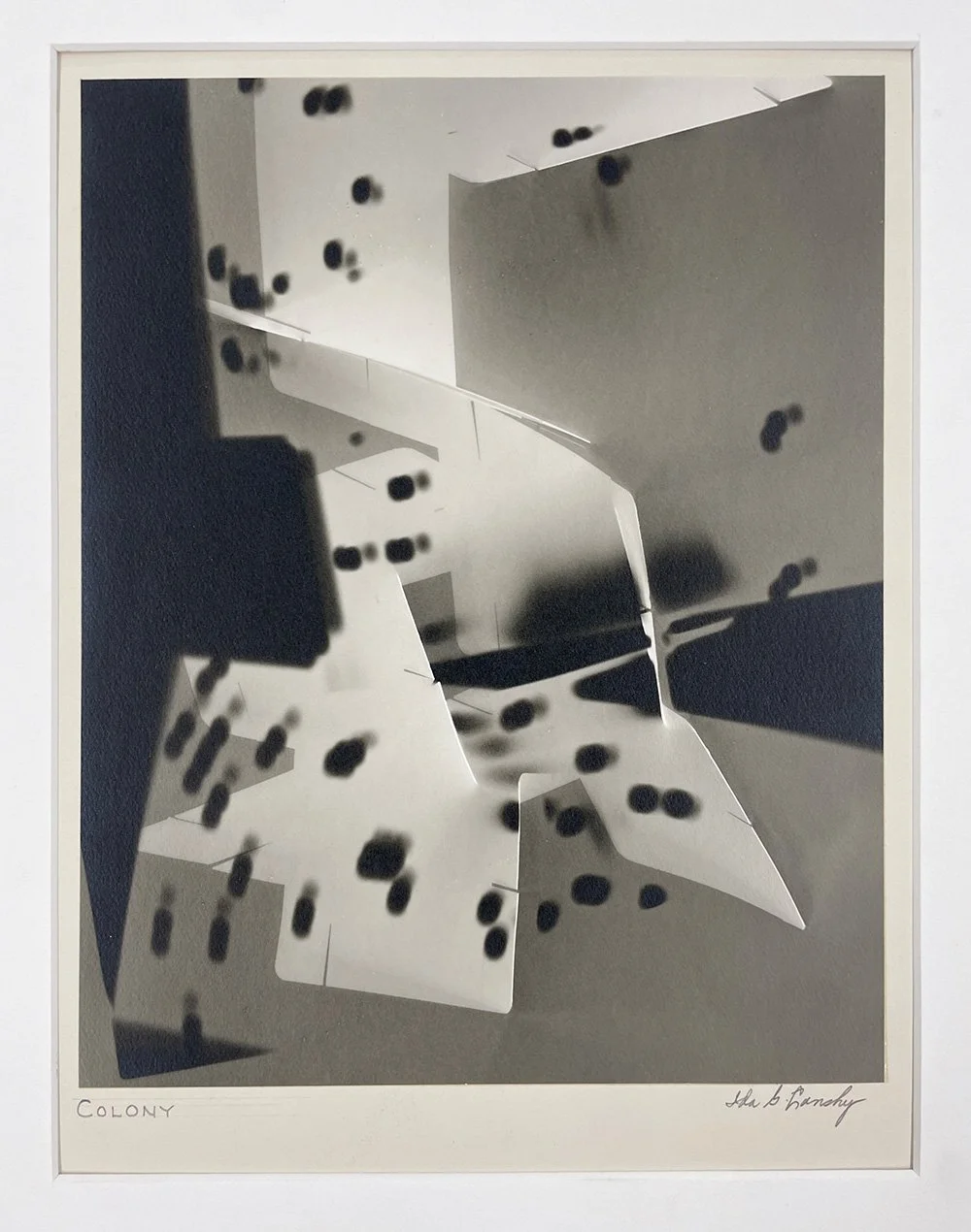 2a_2461_Lansky_Colony copy.jpg