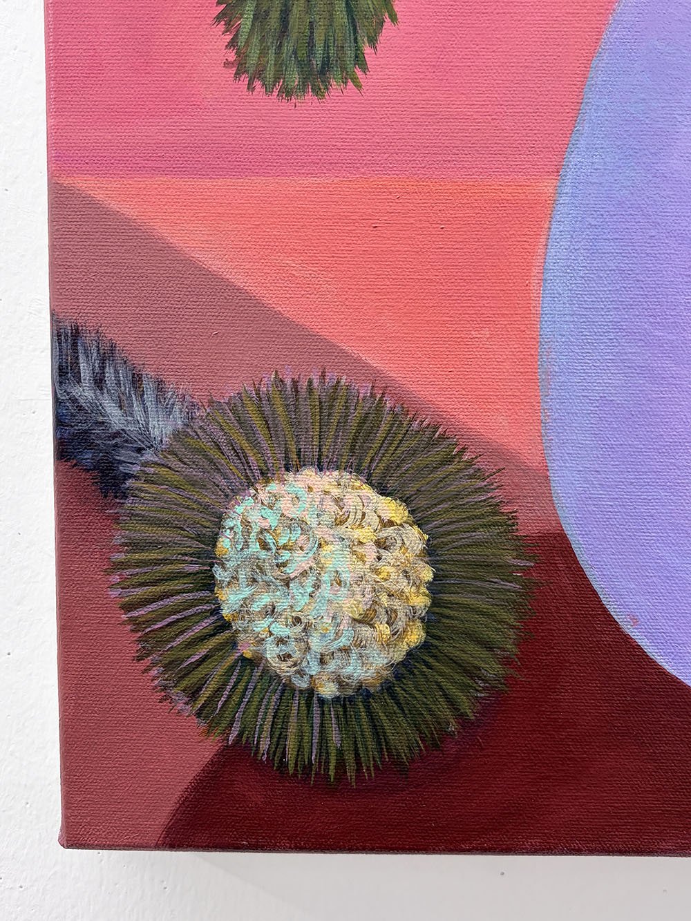 3_14423_Pawlowicz_Joshua Tree Flowers and Yucca Moths.jpg