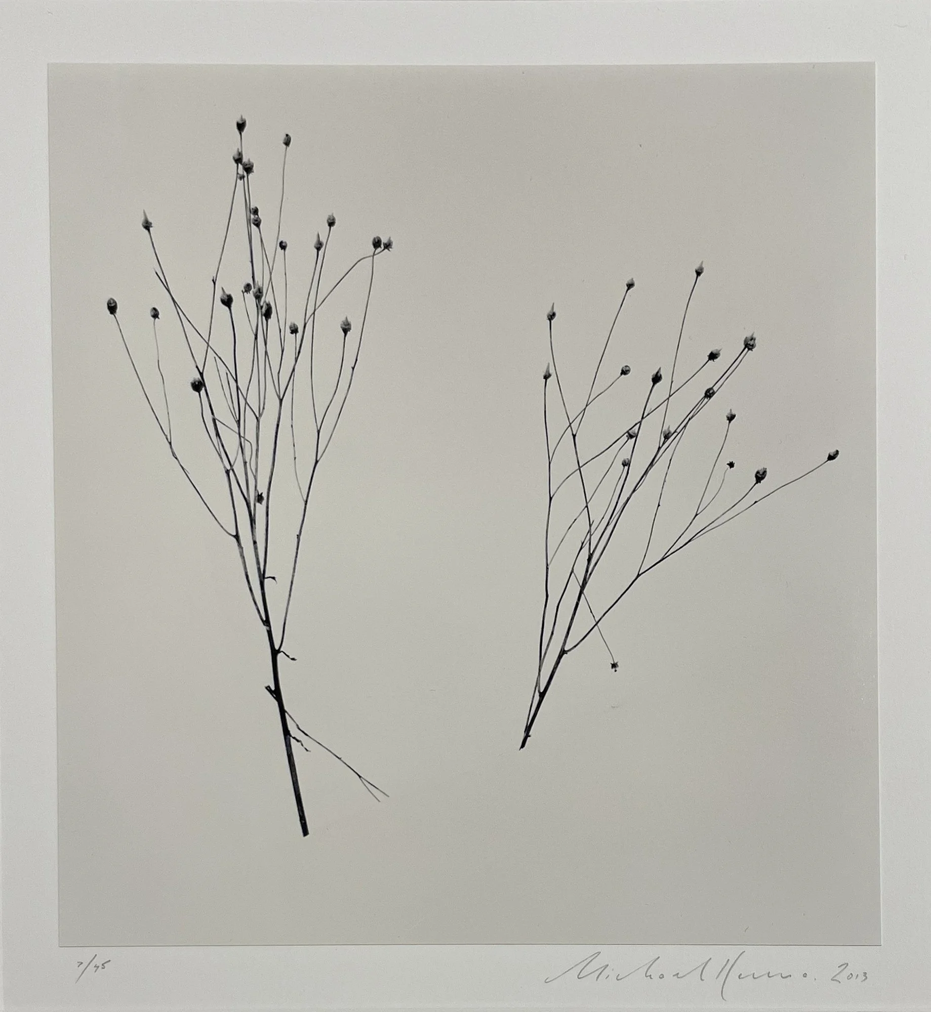 Two Winter Stalks_Detail.jpg