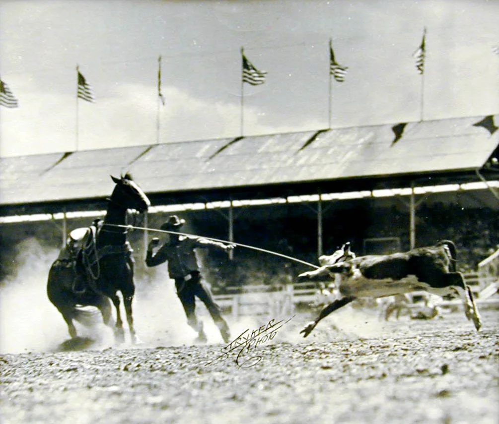Stryker_5490clydeburke.jpg