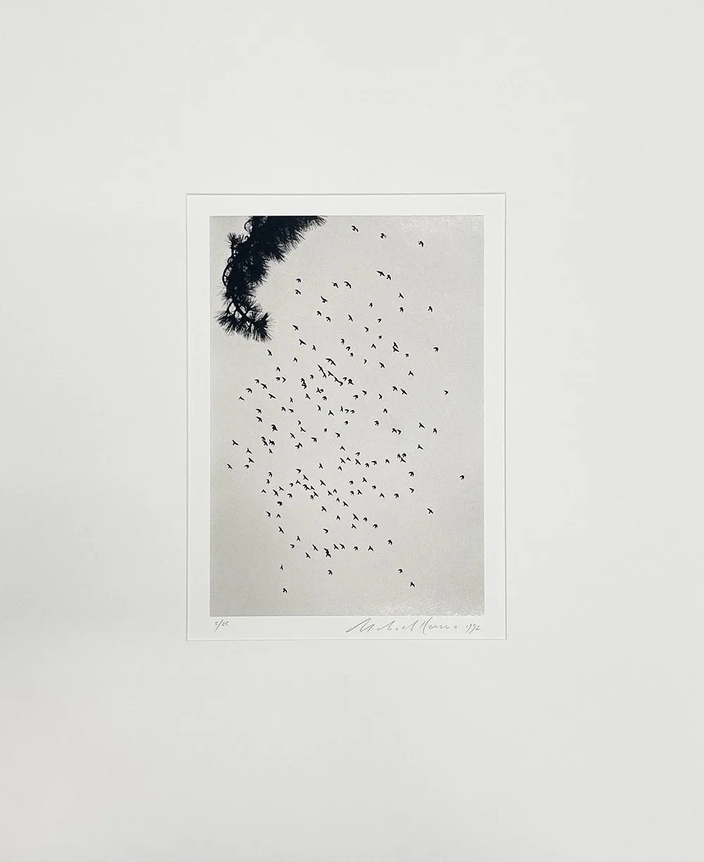 1_13422_Kenna_One Hundred and Seventy Eight Birds.jpg