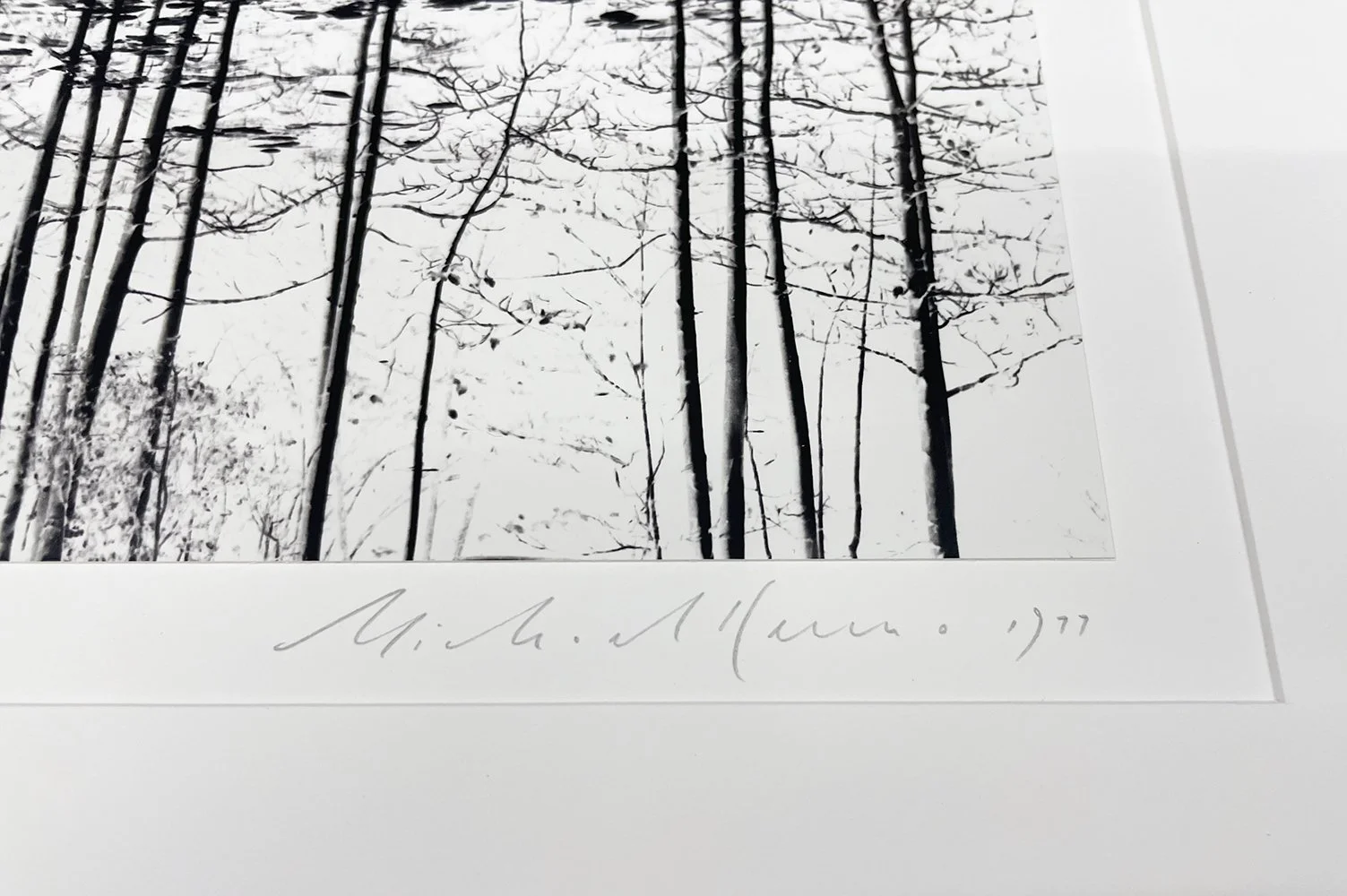 3_14088_Kenna_Trees Yosemite.jpg