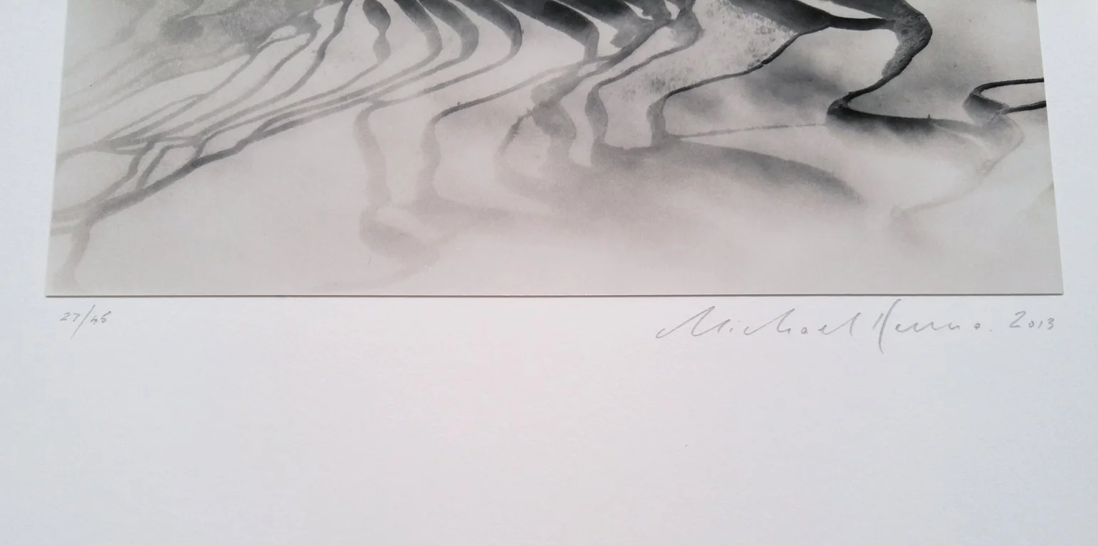 3_11742_Kenna_Yuanyang Study 1.jpg