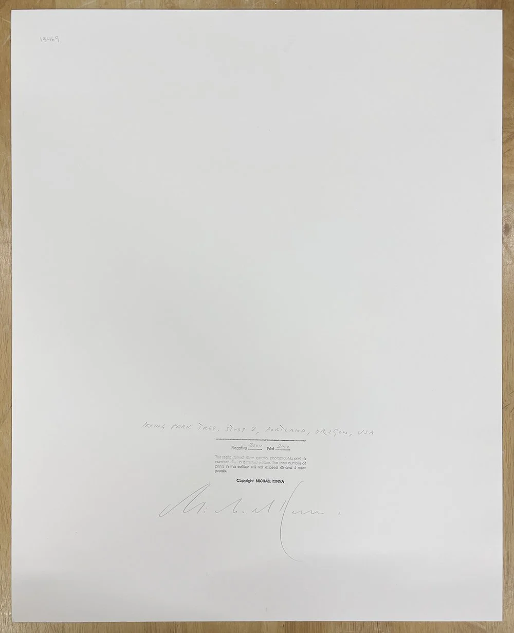 5_13469_Kenna_Irving Park Tree.jpg