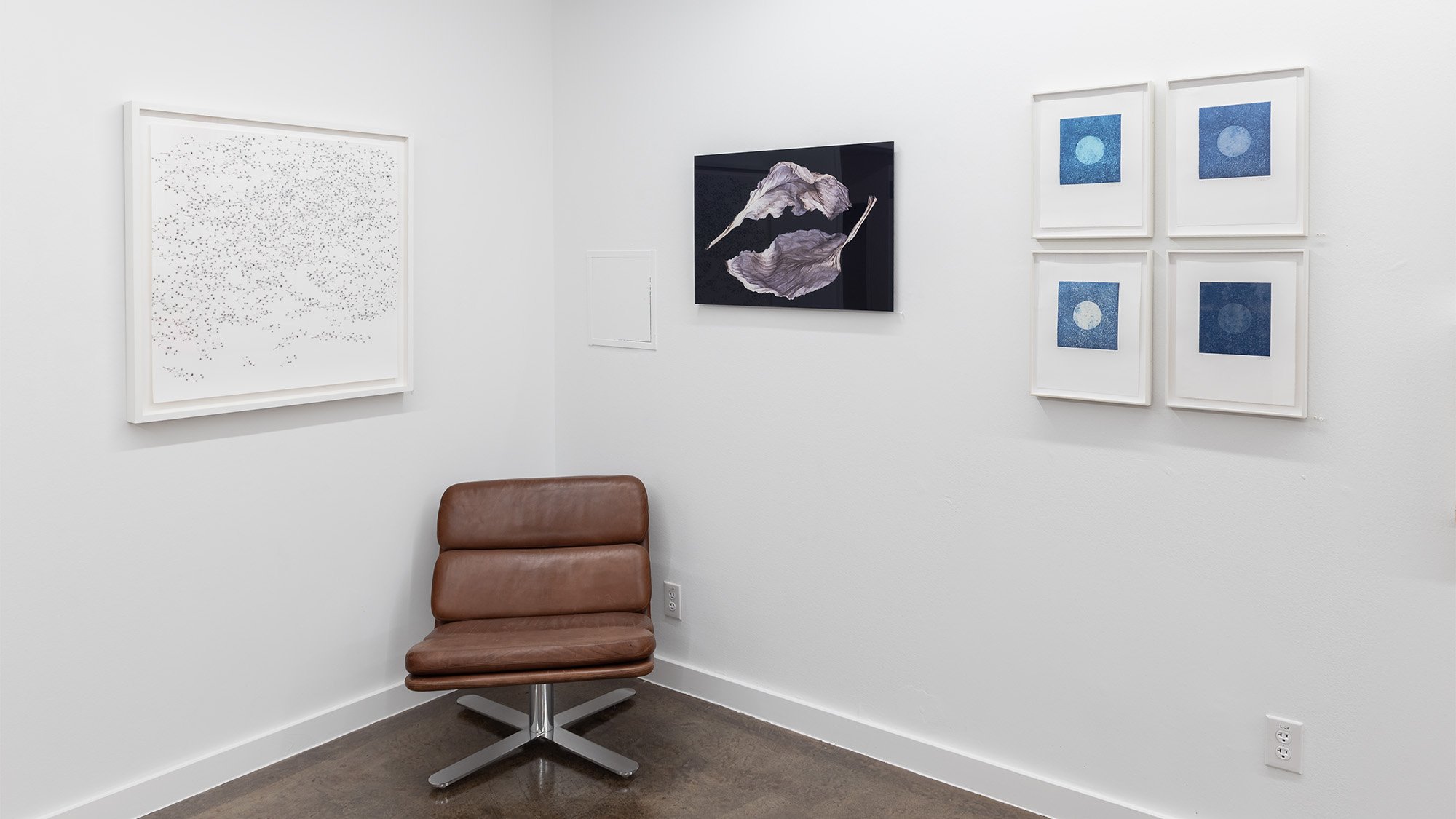 5_Texas Women Artists_Installation.jpg