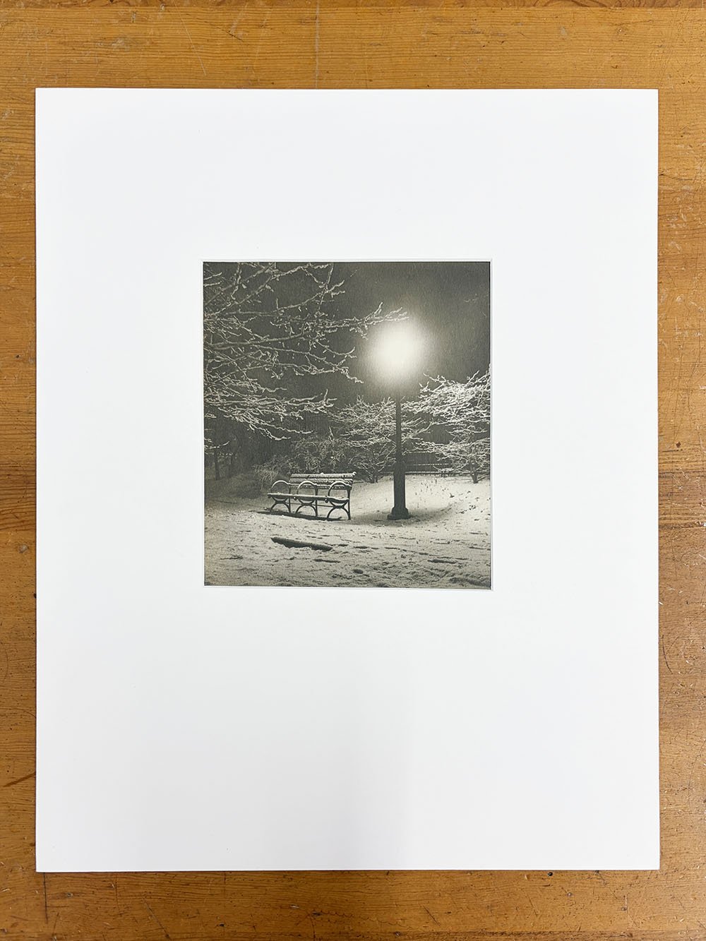 1_John_Albok_8046_Central Park (Bench in Snow).jpg