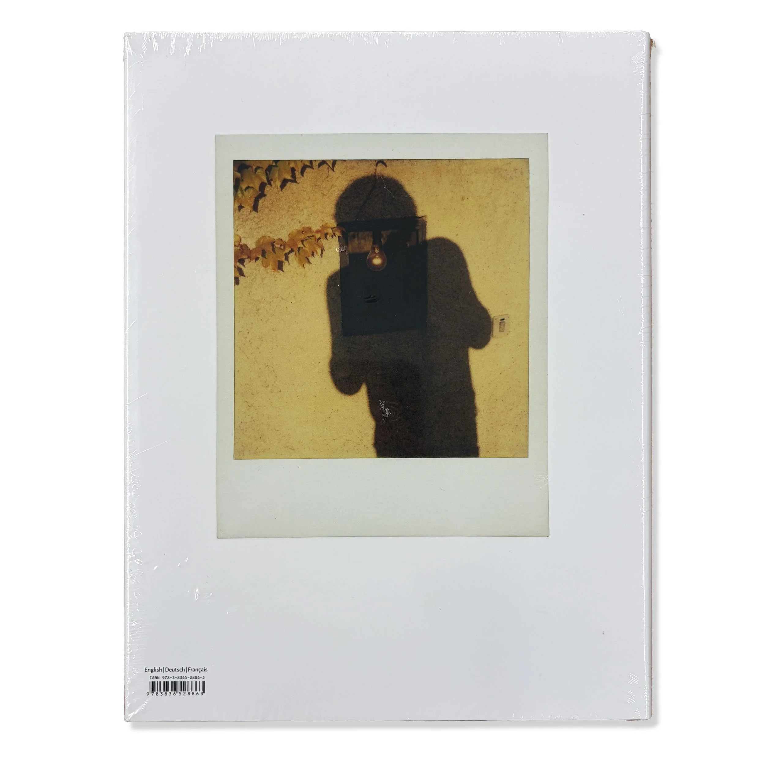 2_Helmut Newton_Polaroids_Back.jpg