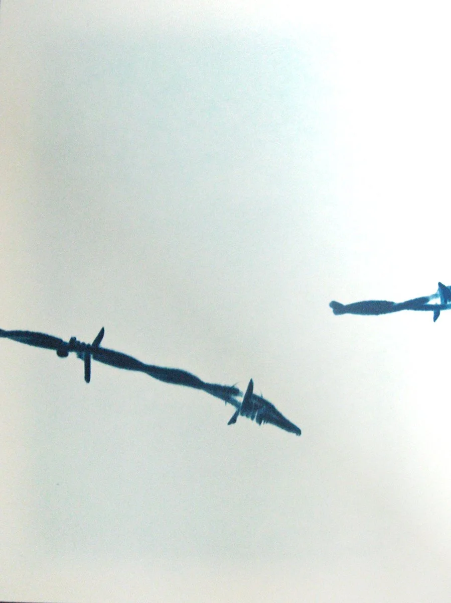 9_Van Leeuwen_Barbed Wire No 9_LR.jpg