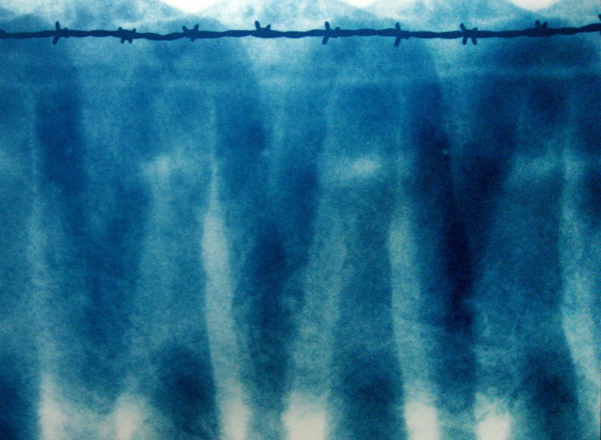 10_Van Leeuwen_Barbed Wire No 10_LR.jpg