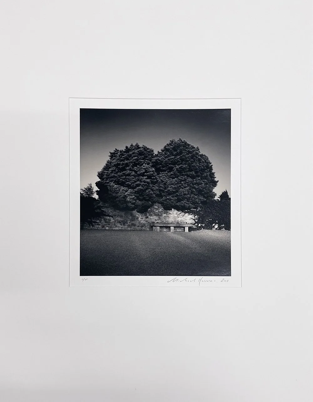 1_Kenna_Bench and Trees_Mat.jpg