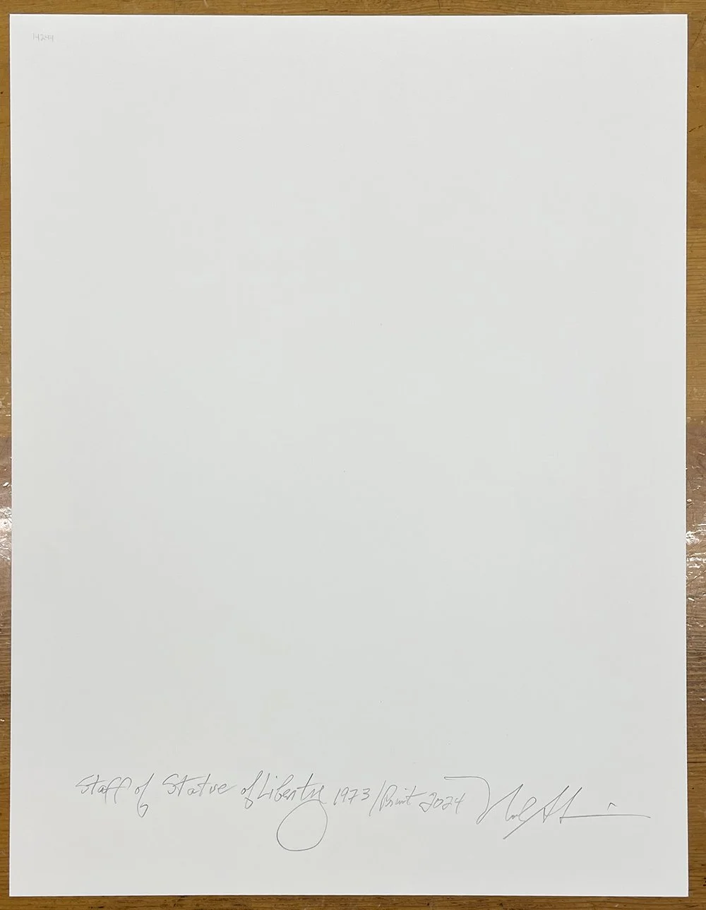 4_14244_Slavin_Statue of Liberty.jpg