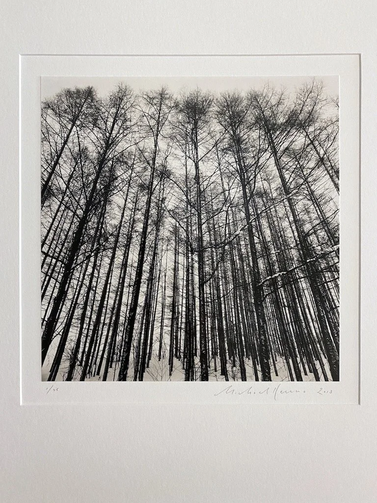 11726_2_MichaelKenna_KaramatsuForestBieiHokkaidoJapan_PDNBGallery.jpg