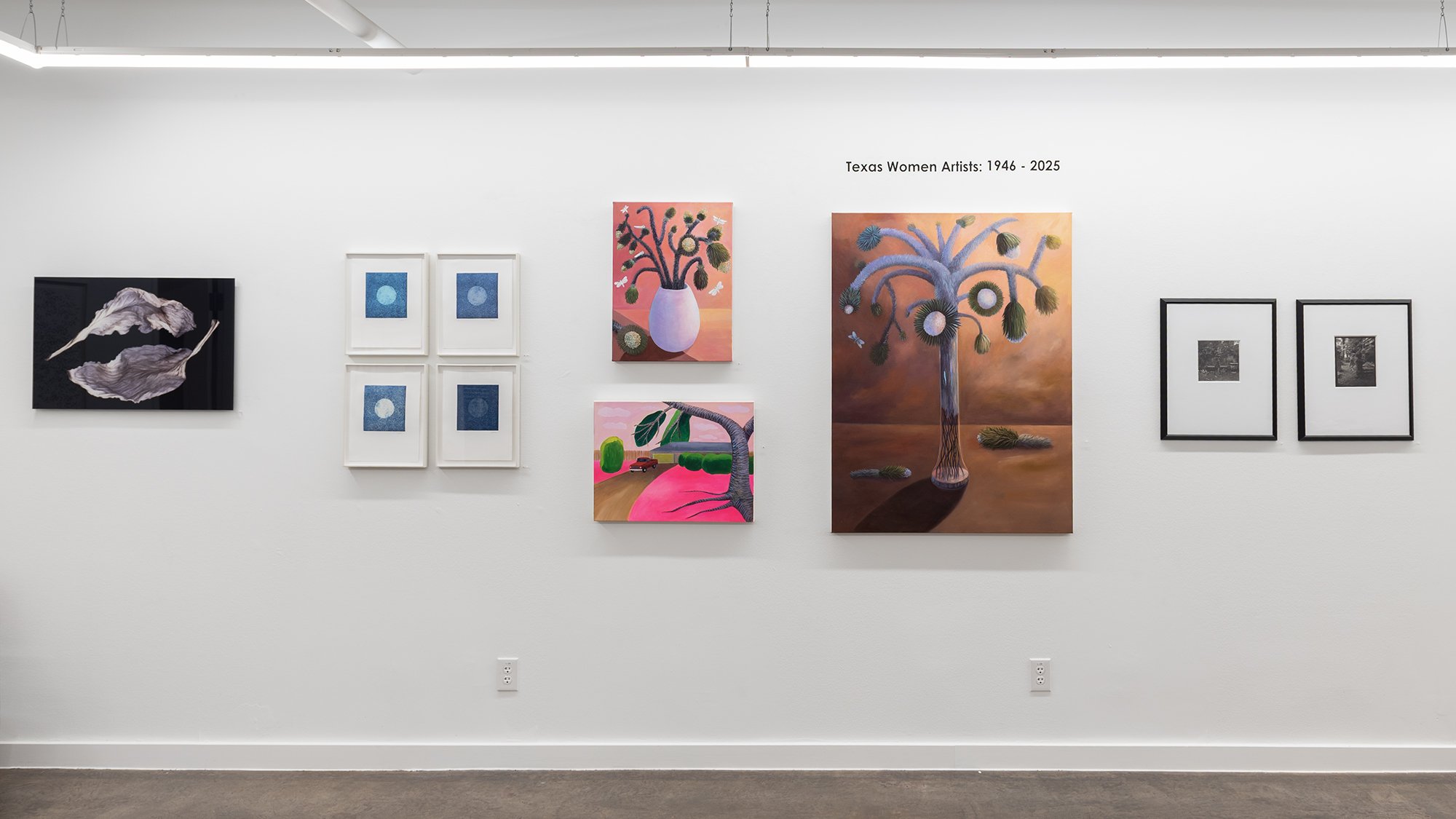 4_Texas Women Artists_Installation.jpg