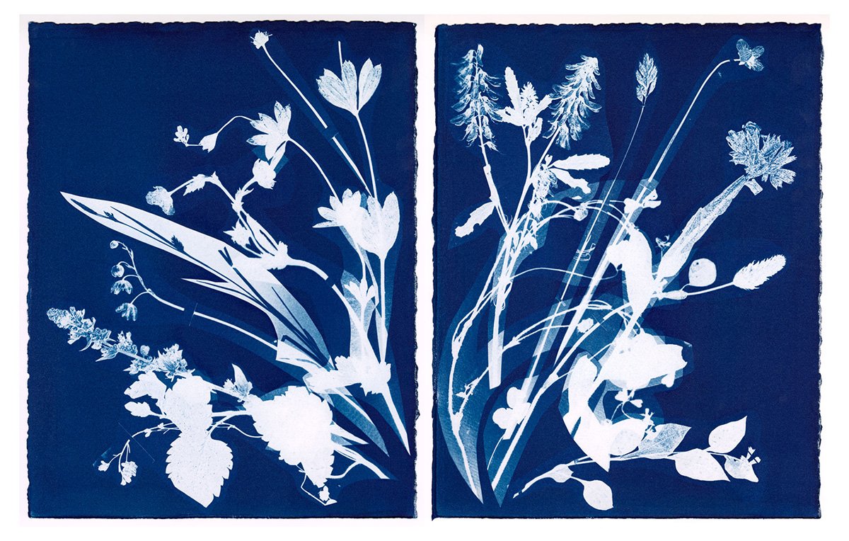 Meg Griffiths: Field #1, 2025