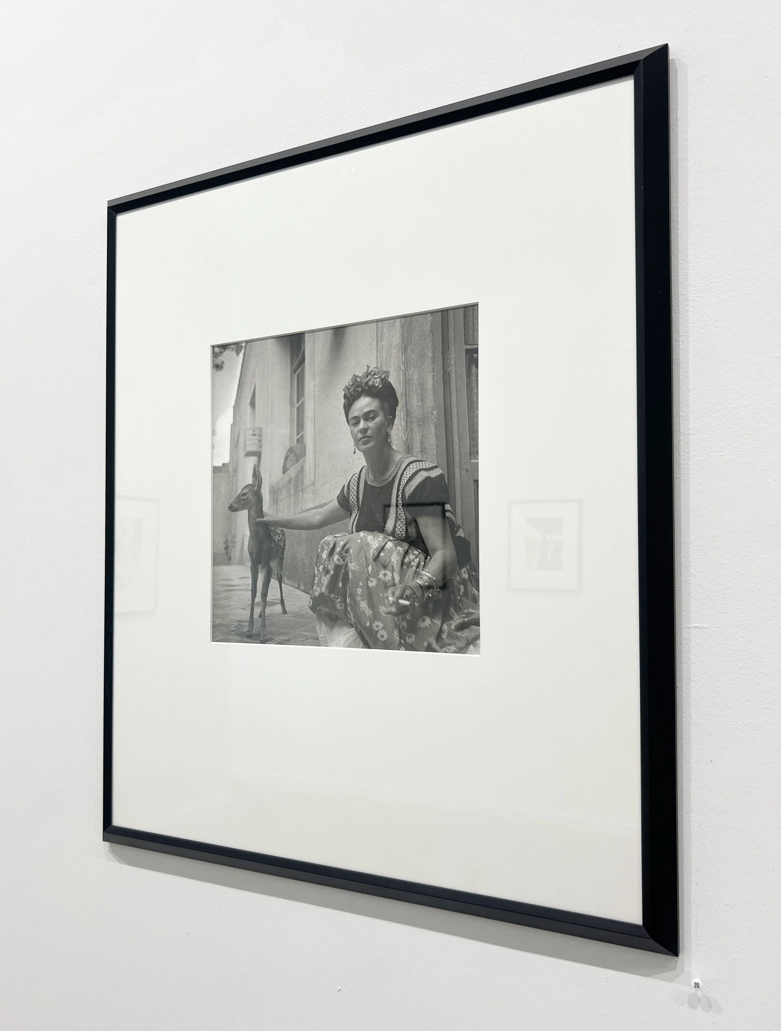 8_13455_Muray_Frida with Granizo.jpg