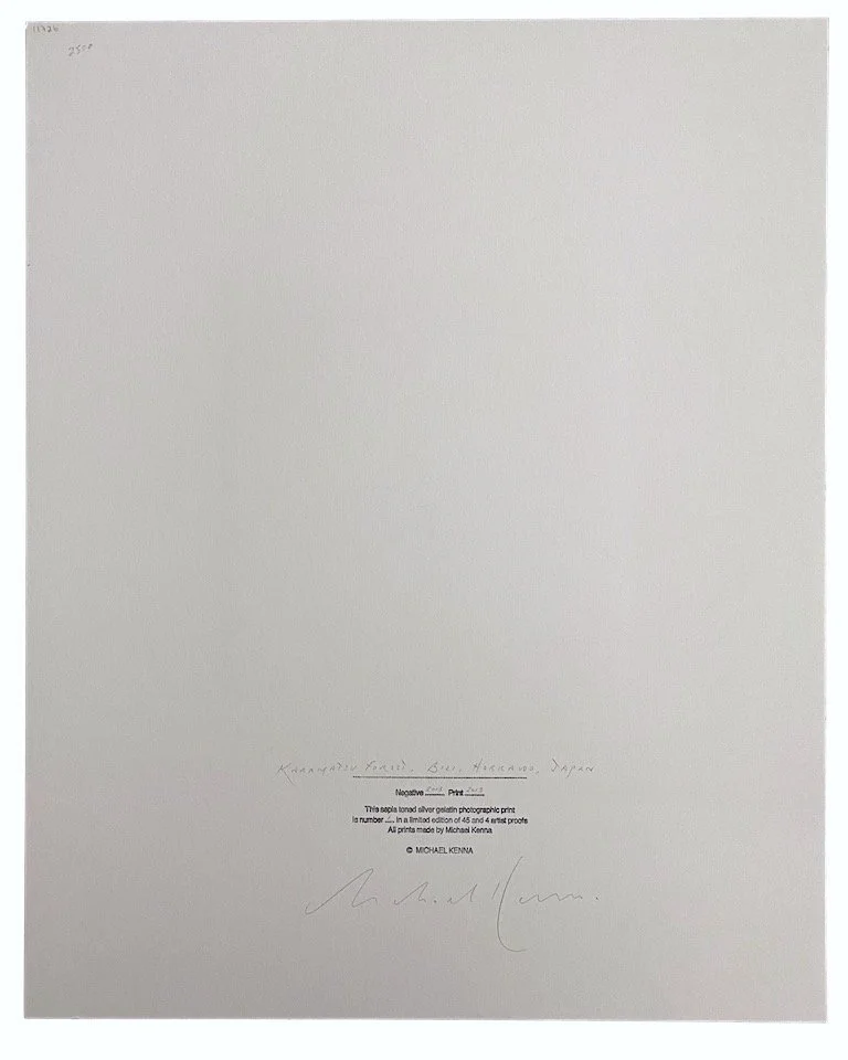 11726_4_MichaelKenna_KaramatsuForestBieiHokkaidoJapan_PDNBGallery.jpg