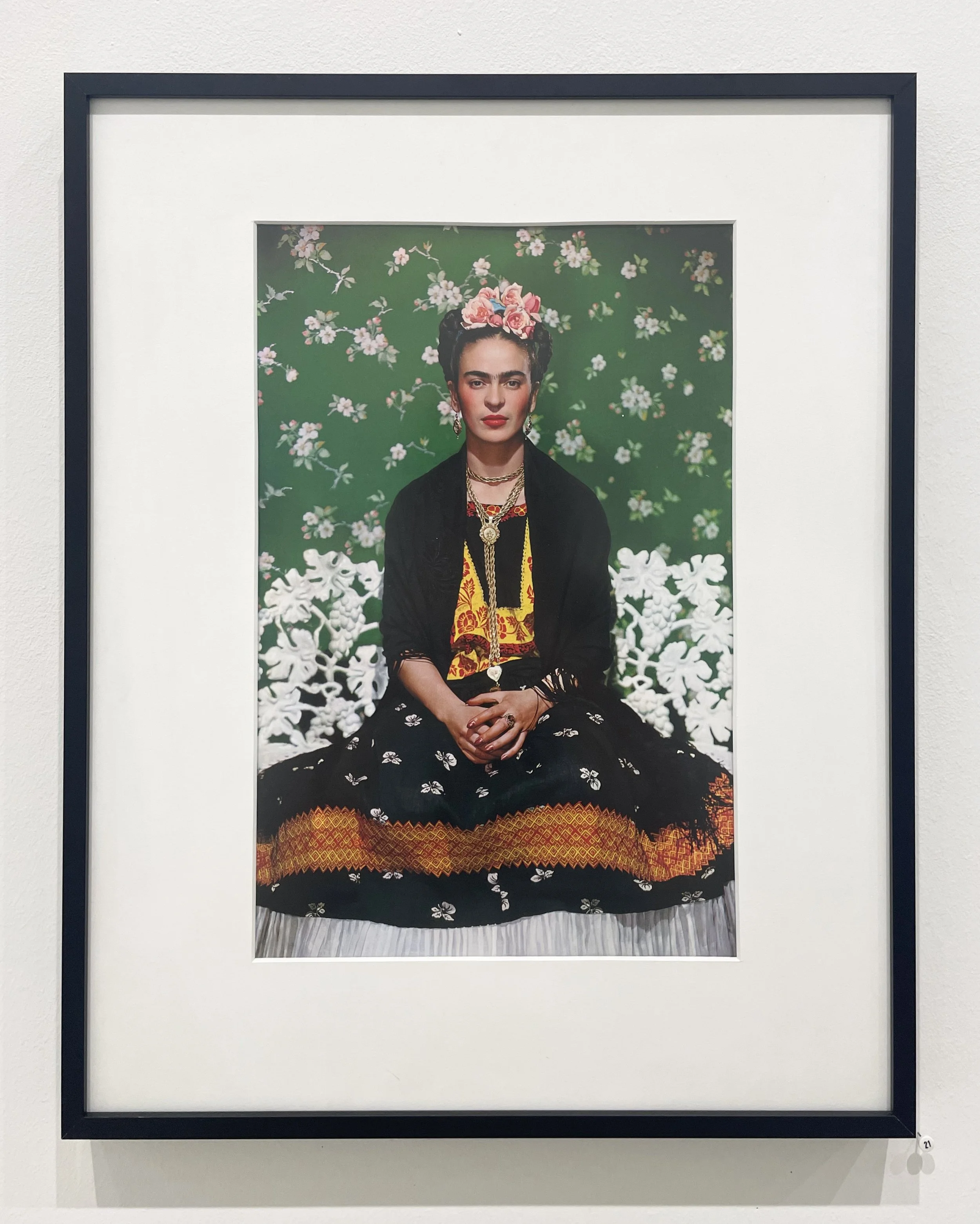 6_14170_Frida on White Bench.jpg