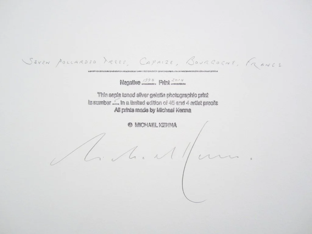 5_12013_SevenPollardedTreesCapaizeBourgogneFrance1998_PDNBGallery.jpg