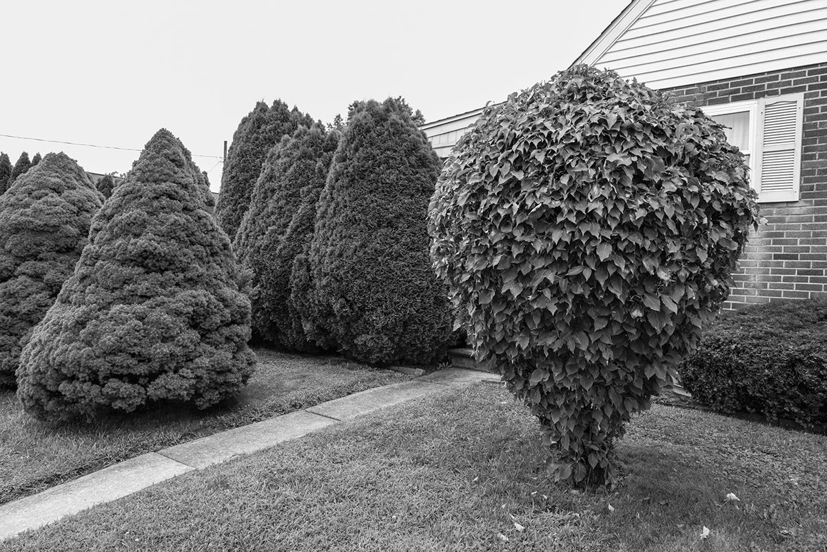 14498_Anderson_20250715-005_LR.jpg