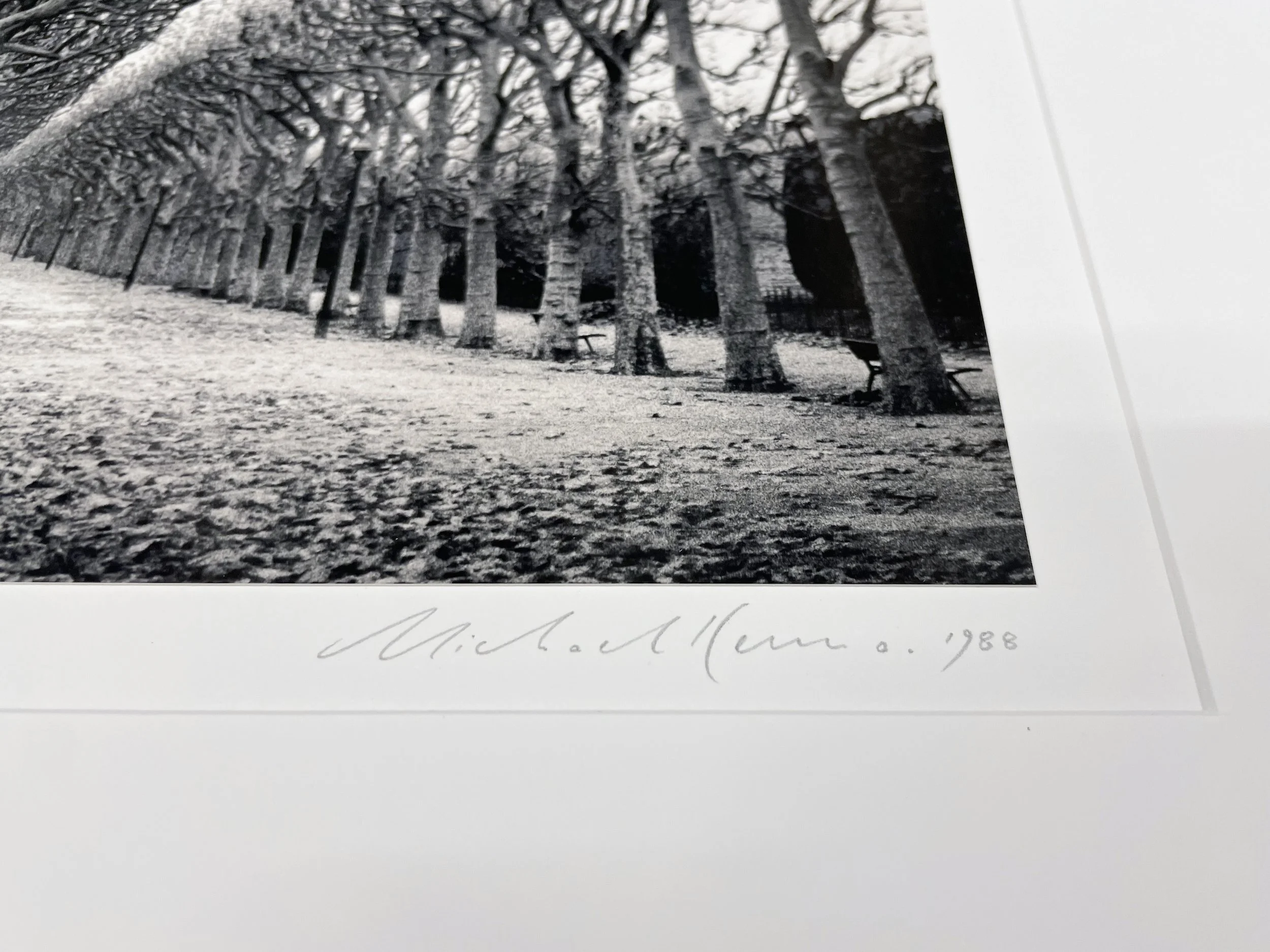 3_11995_Kenna_Jardin Des Plantes.jpg