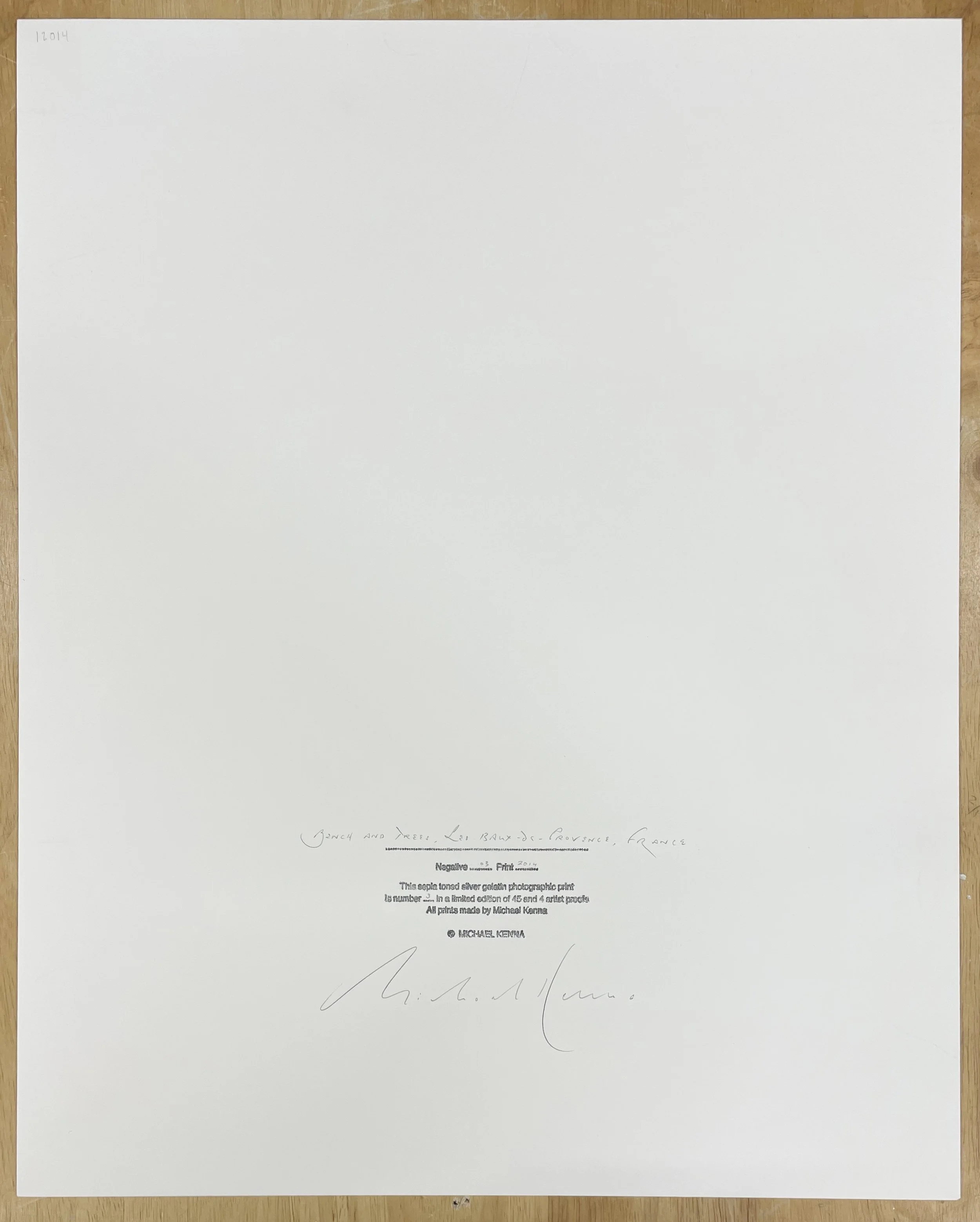 3_Kenna_Bench and Trees.jpg