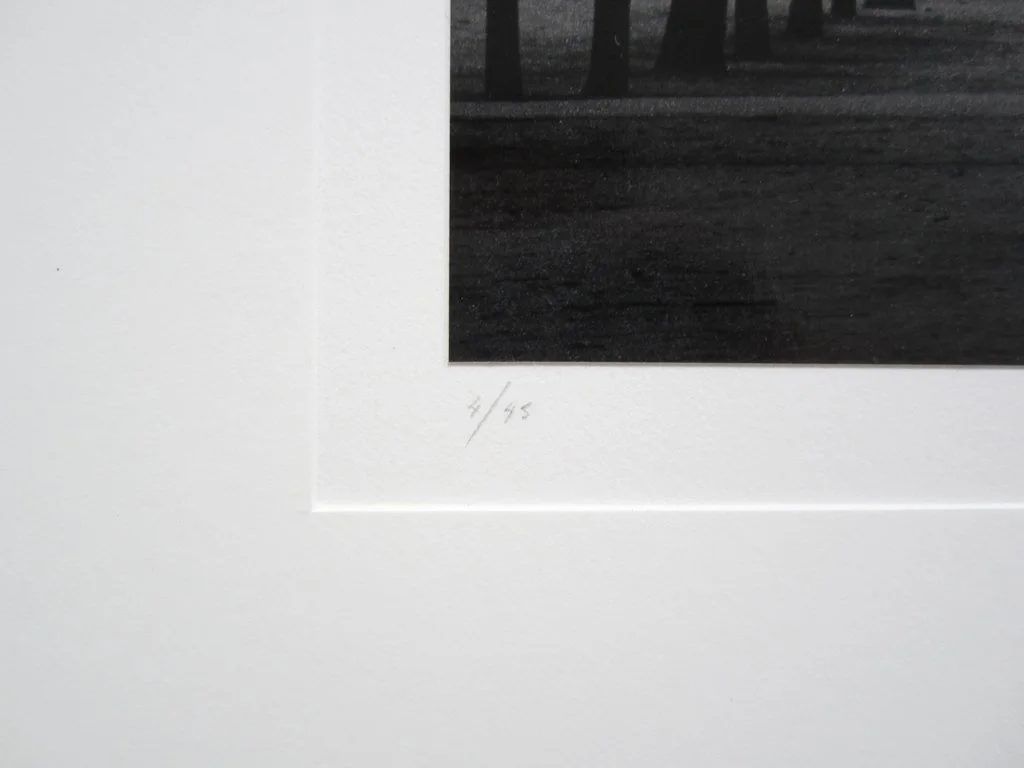 5_11733_MichaelKenna_TuileriesGardensStudy4ParisFrance1987_PDNBGallery.jpg