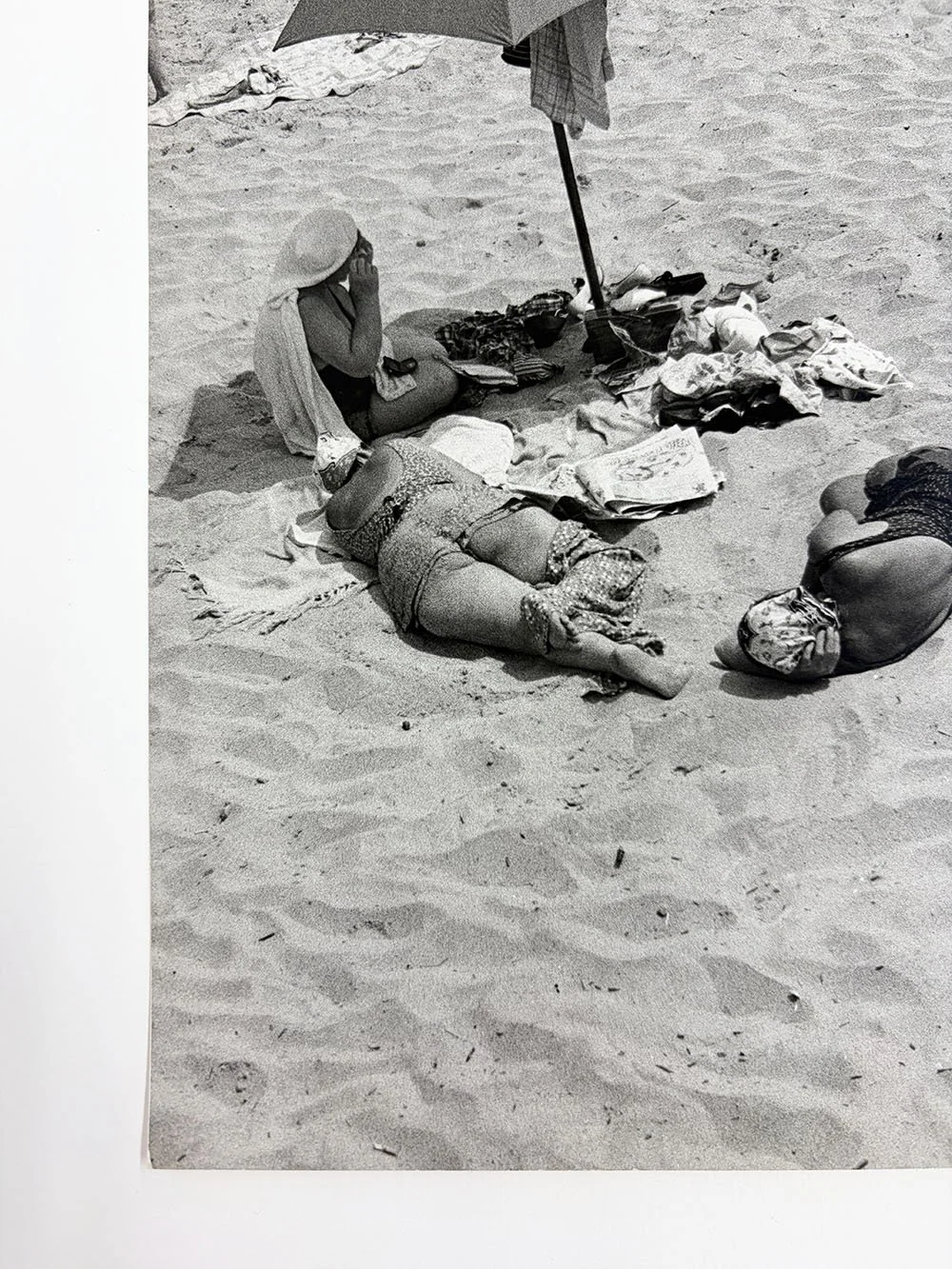 7_John_Albok_7944_Bathing Beauties.jpg