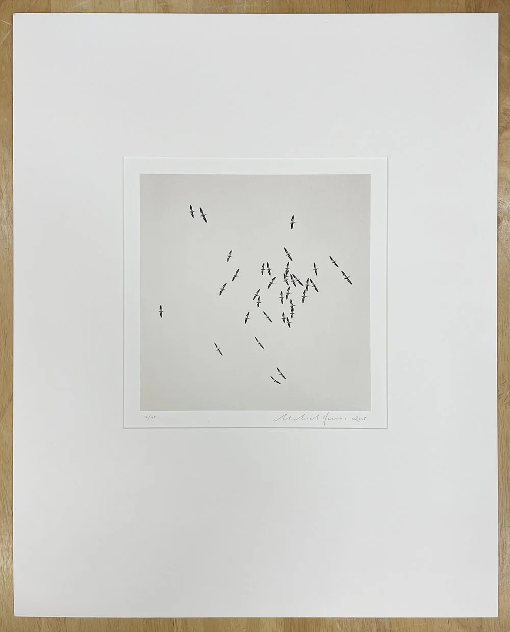 1_11744_Kenna_Thirty Six (36) Birds.jpg
