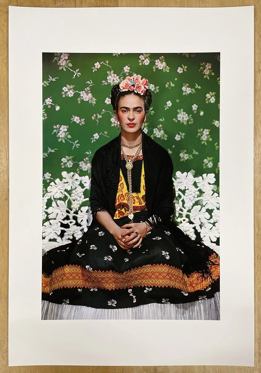 1_14170_Frida on White Bench.jpg