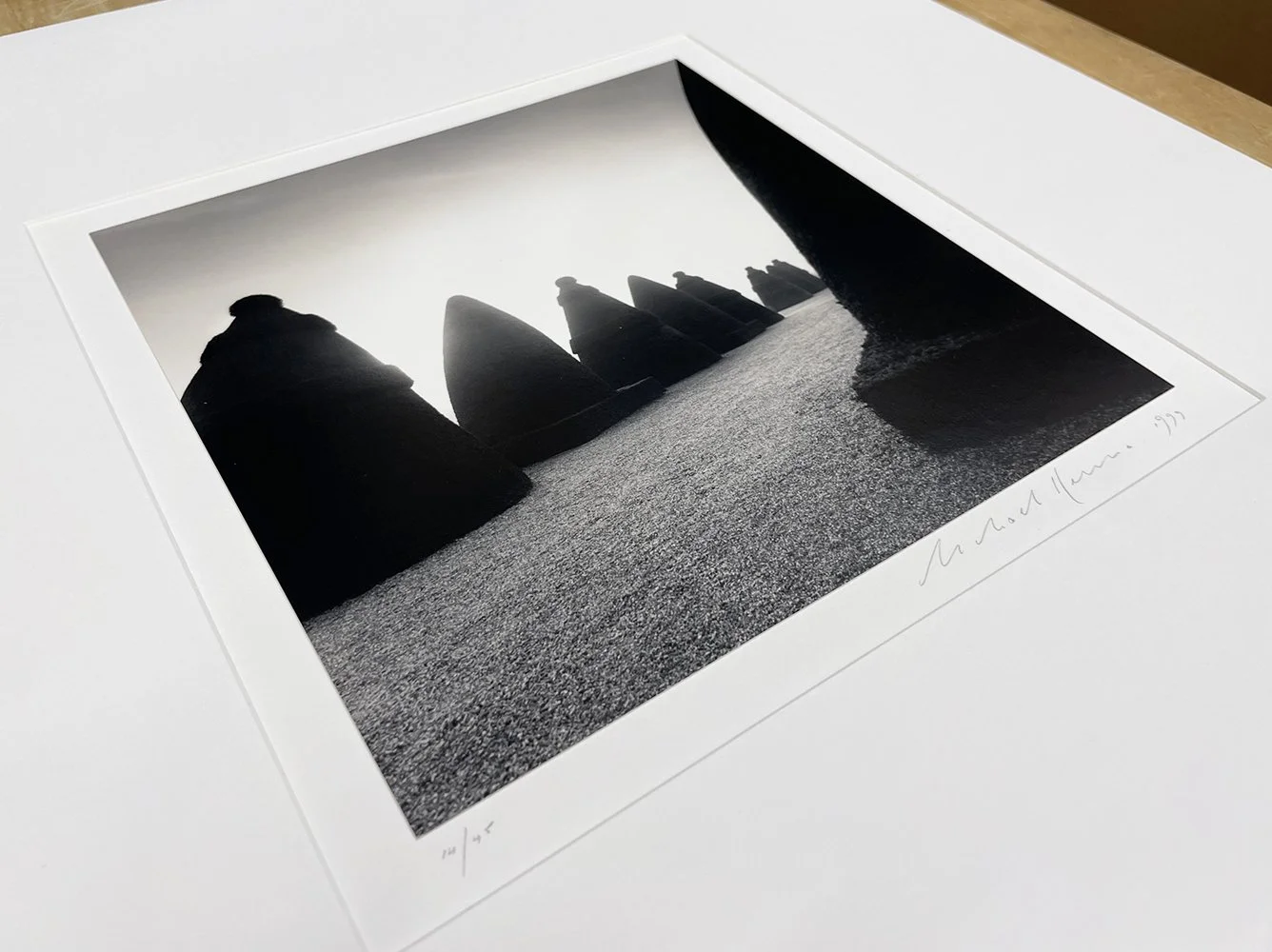 4_11993_Kenna_Terrace St Cloud.jpg