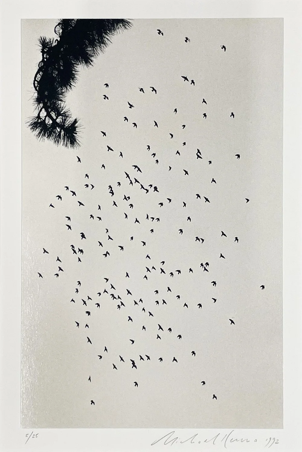 2_13422_Kenna_One Hundred and Seventy Eight Birds.jpg