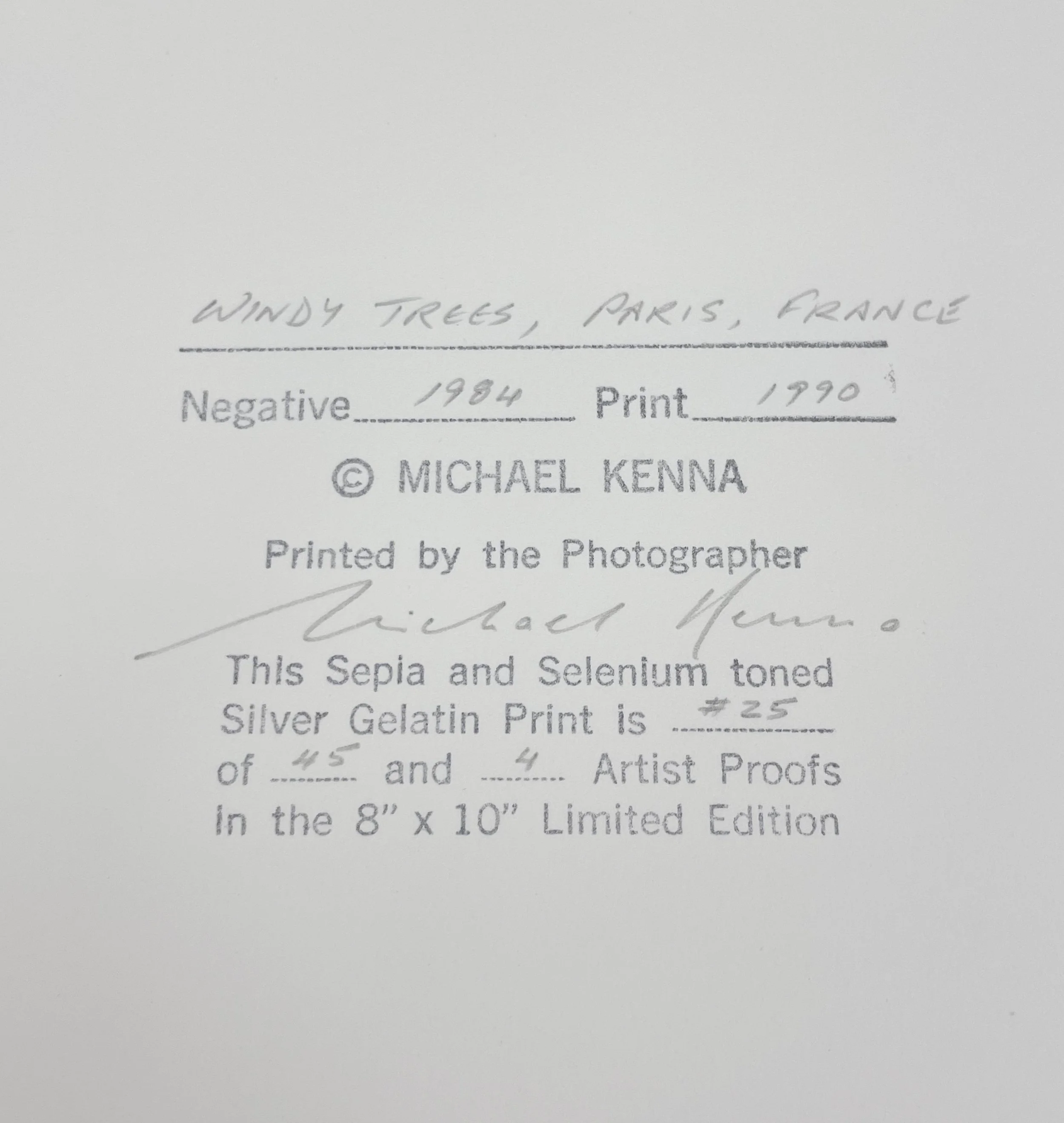 6_12011_Kenna_Windy Trees.jpg