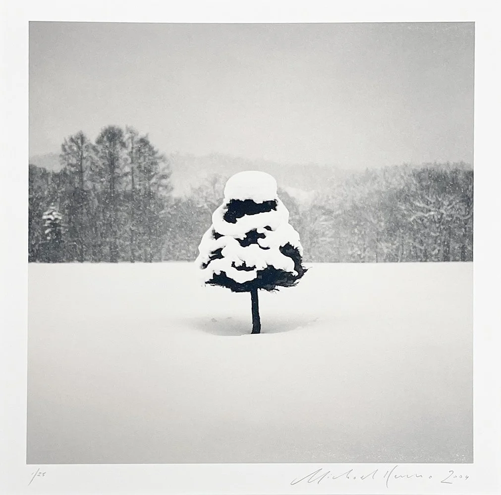 2_13438_Kenna_Snow Parfait Tree.jpg