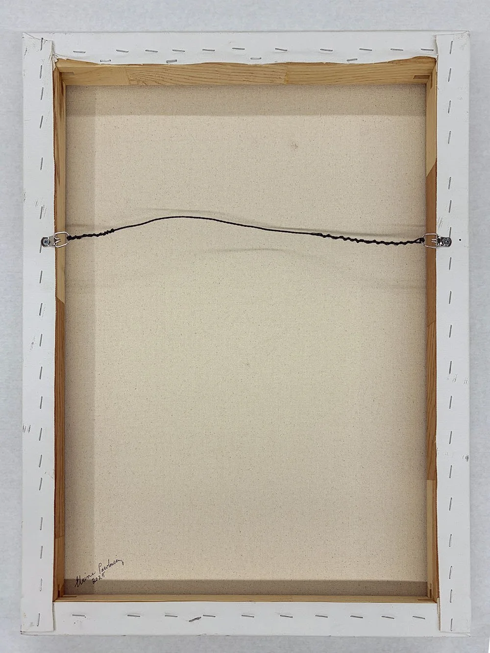 7_14423_Pawlowicz_Joshua Tree Flowers and Yucca Moths.jpg