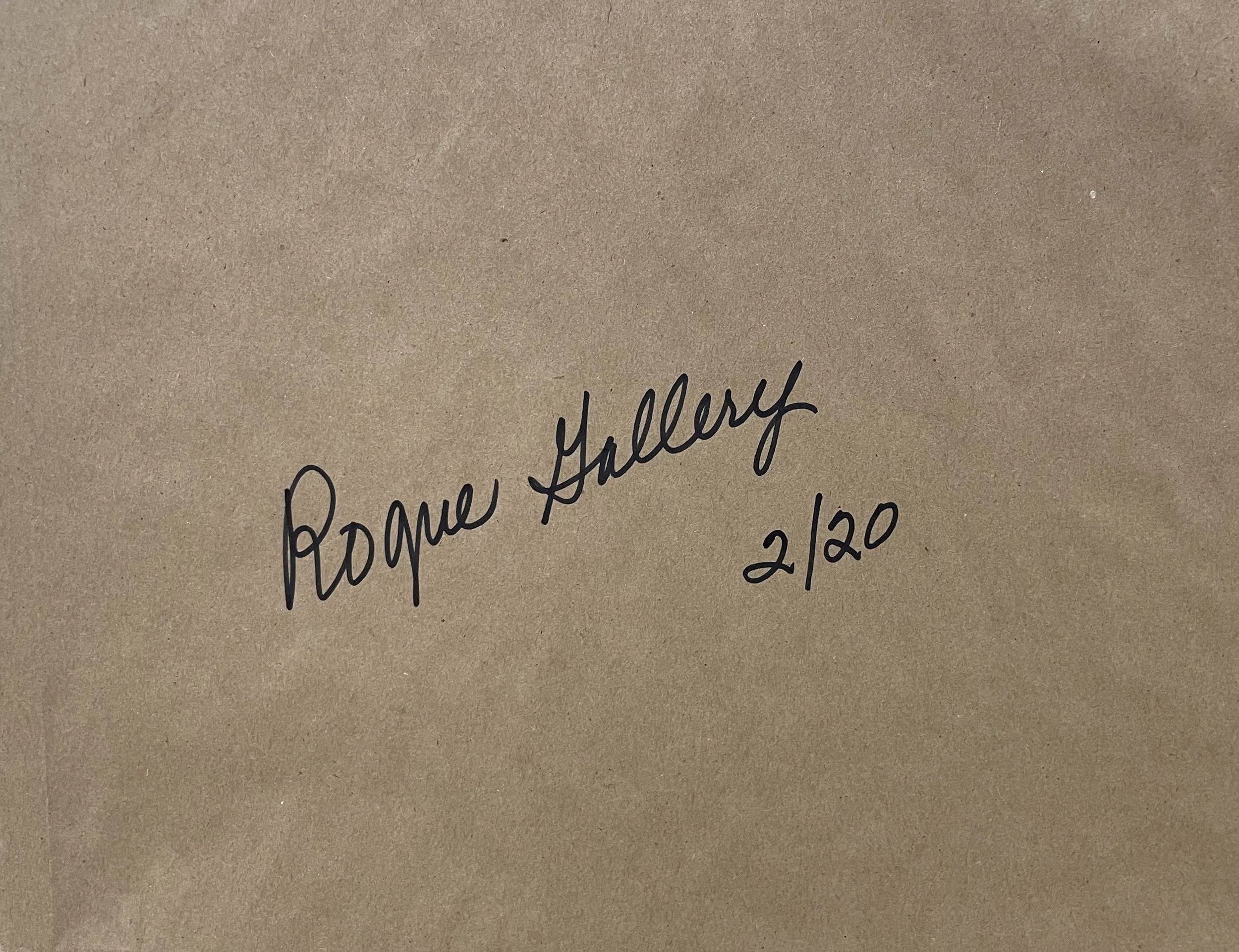 5_13639_Carroll_Rogue Gallery.jpg